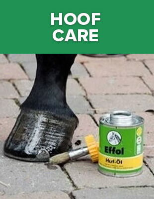 Hoof Care